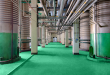 新疆上昵生物科技有限公司